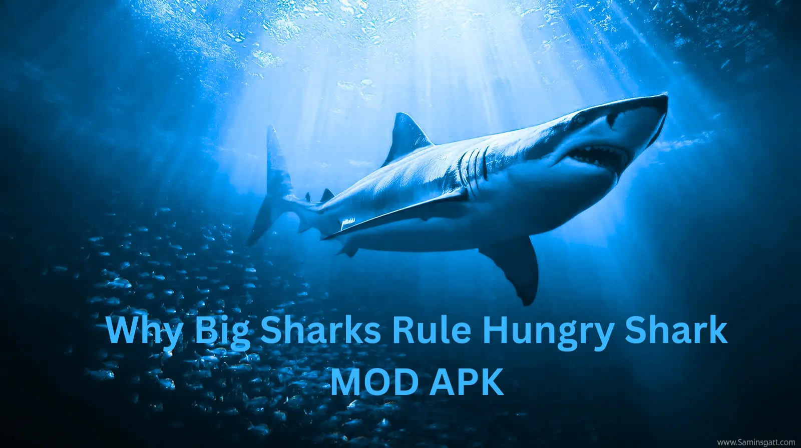 Why Bigger Sharks Dominate in Hungry Shark MOD APK
